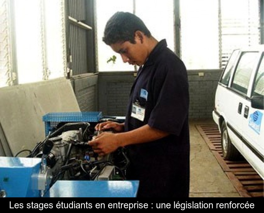 Les stages étudiants en entreprise : une législation renforcée Les stages étudiants en entreprise : une législation renforcée
