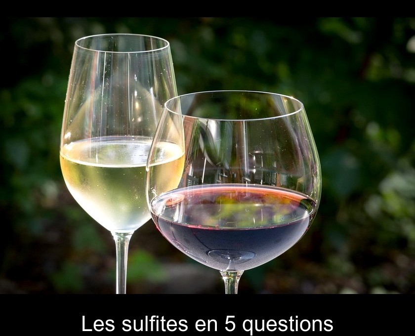 Les sulfites en 5 questions Les sulfites en 5 questions