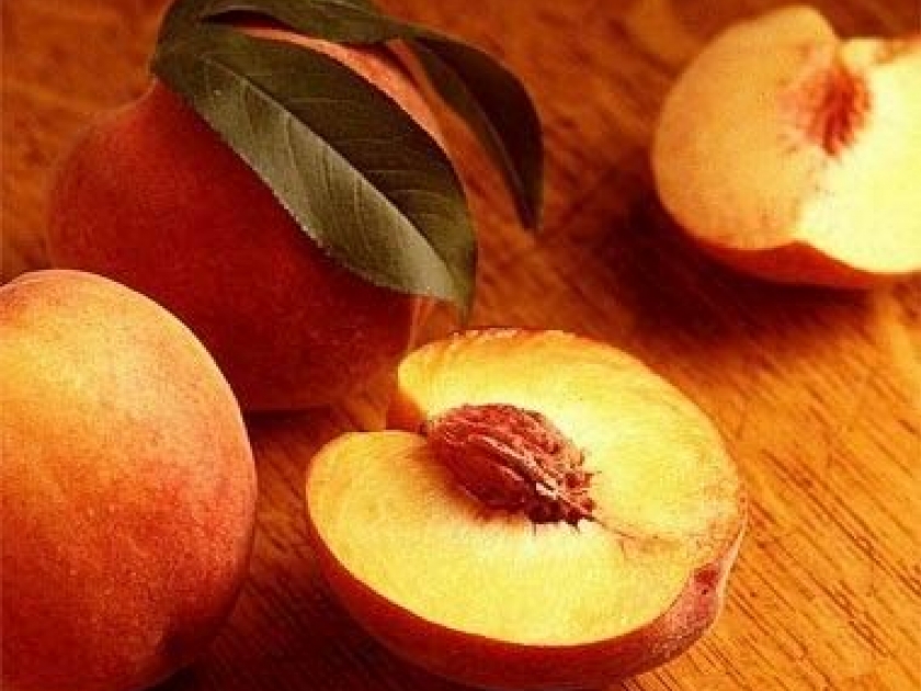 Les tartelettes aux pêches : une recette très facile Les tartelettes aux pêches : une recette très facile
