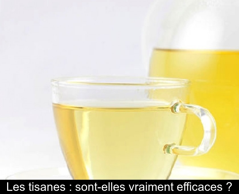 Les tisanes : sont-elles vraiment efficaces ? Les tisanes : sont-elles vraiment efficaces ?