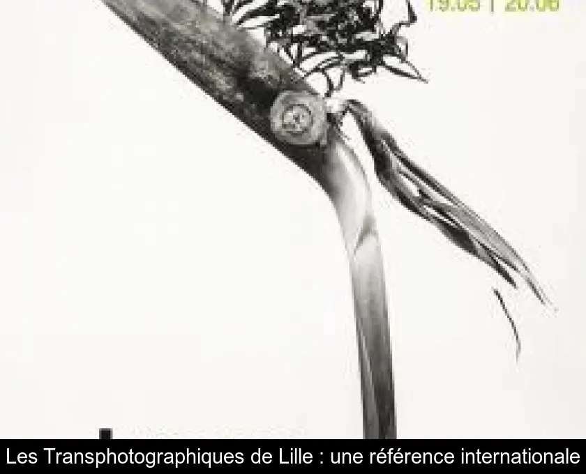 Les Transphotographiques de Lille : une référence internationale