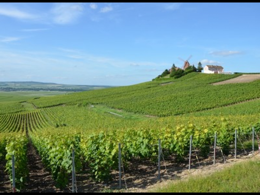Les vignobles de Champagne et de Bourgogne classés par l'UNESCO Les vignobles de Champagne et de Bourgogne classés par l'UNESCO