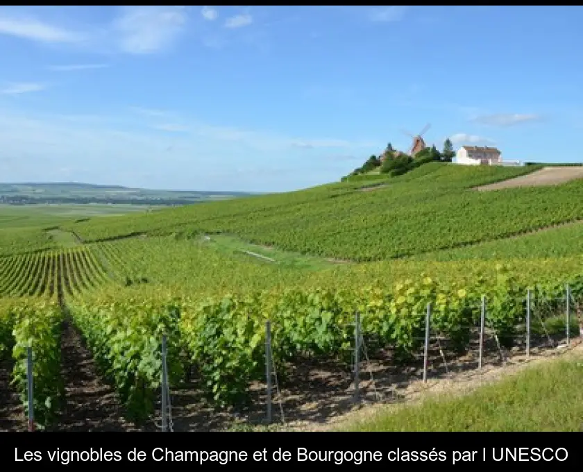 Les vignobles de Champagne et de Bourgogne classés par l'UNESCO