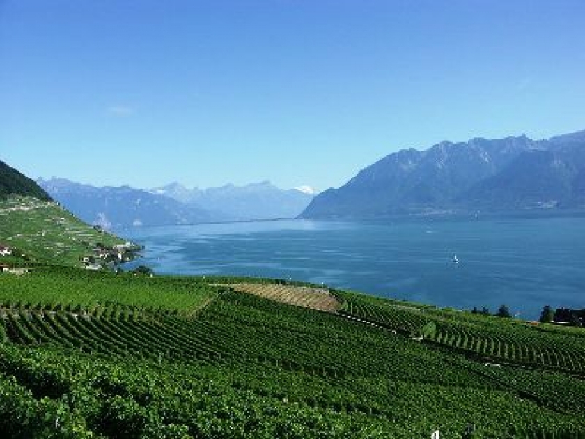 Les vignobles de Lavaux : un site exceptionnel Les vignobles de Lavaux : un site exceptionnel