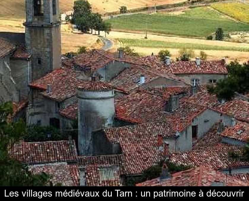 Les villages médiévaux du Tarn : un patrimoine à découvrir Les villages médiévaux du Tarn : un patrimoine à découvrir
