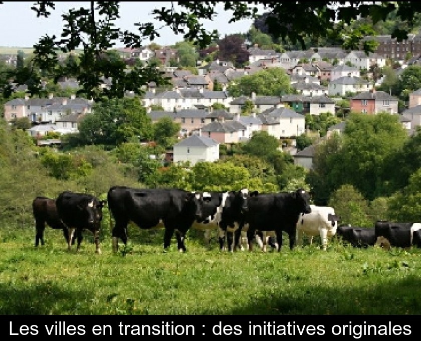 Les villes en transition : des initiatives originales Les villes en transition : des initiatives originales