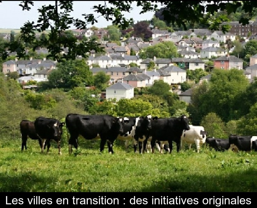 Les villes en transition : des initiatives originales