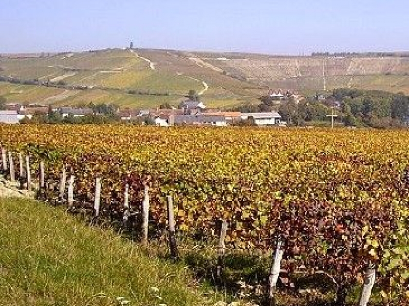 Les vins de Loire : présentation et caractéristiques Les vins de Loire : présentation et caractéristiques