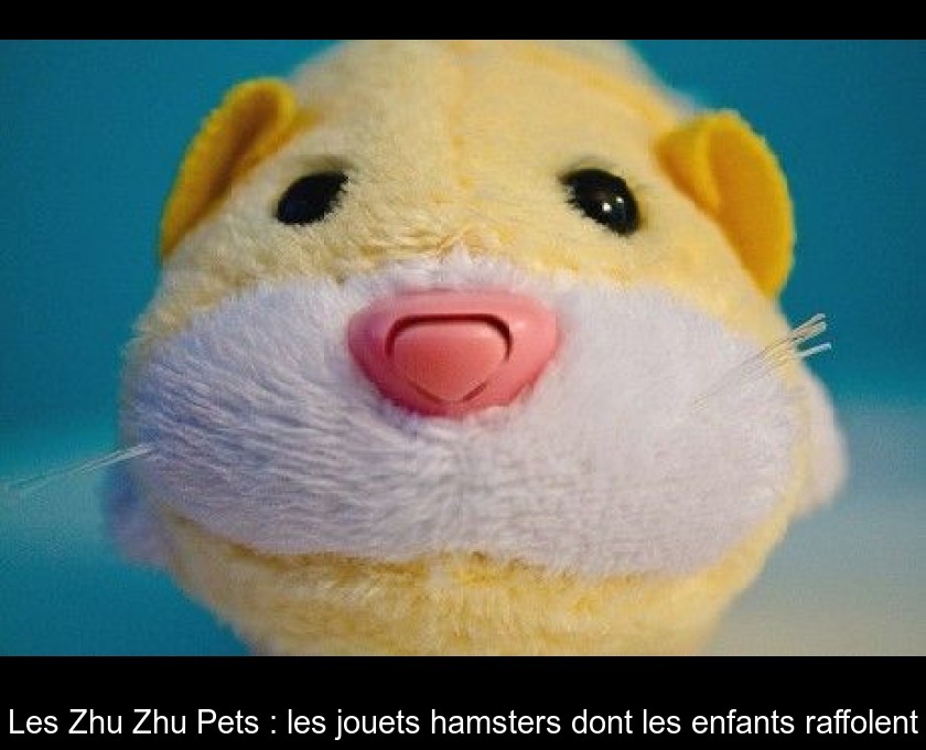 Les Zhu Zhu Pets : les jouets hamsters dont les enfants raffolent