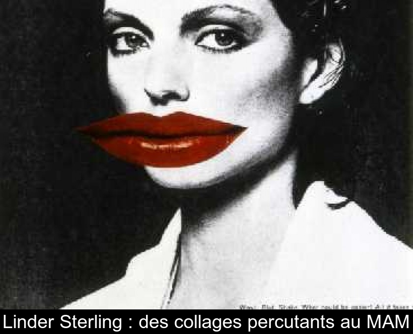 Linder Sterling : des collages percutants au MAM