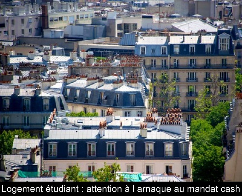 Logement étudiant : attention à l'arnaque au mandat cash Logement étudiant : attention à l'arnaque au mandat cash