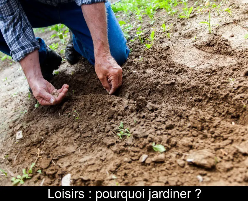 Loisirs : pourquoi jardiner ?