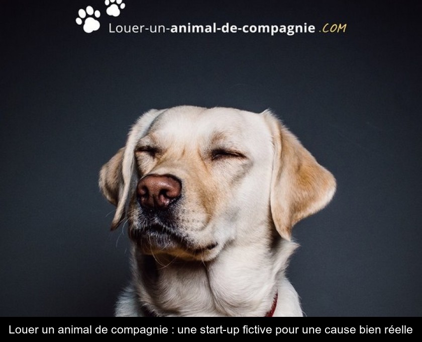 Louer un animal de compagnie : une start-up fictive pour une cause bien réelle Louer un animal de compagnie : une start-up fictive pour une cause bien réelle