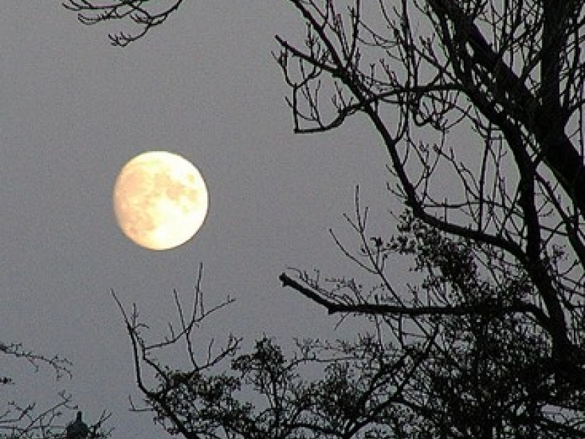 Lune et santé : y a-t-il une réelle influence ? Lune et santé : y a-t-il une réelle influence ?
