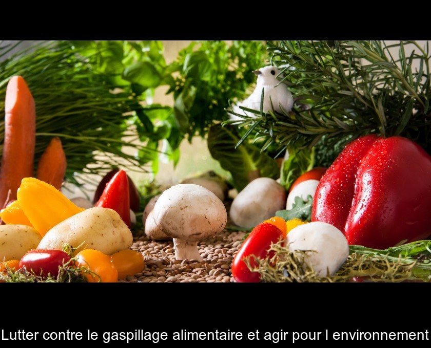 Lutter contre le gaspillage alimentaire et agir pour l'environnement Lutter contre le gaspillage alimentaire et agir pour l'environnement