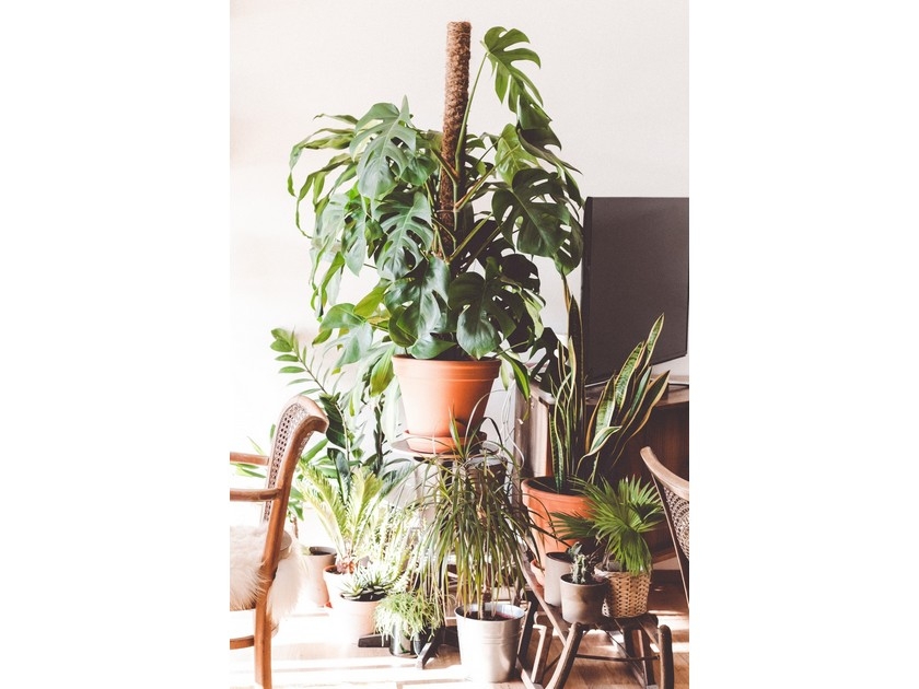 Maison : 5 conseils pour créer une déco tropicale Maison : 5 conseils pour créer une déco tropicale