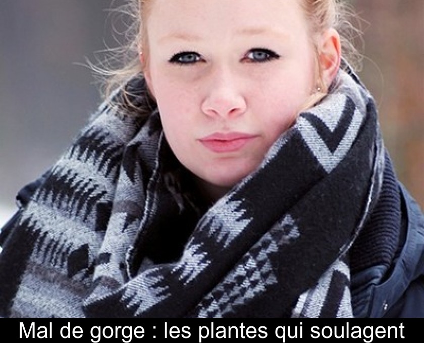 Mal de gorge : les plantes qui soulagent Mal de gorge : les plantes qui soulagent