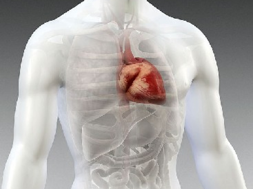 Malaise cardiaque : symptômes et conduite à tenir Malaise cardiaque : symptômes et conduite à tenir