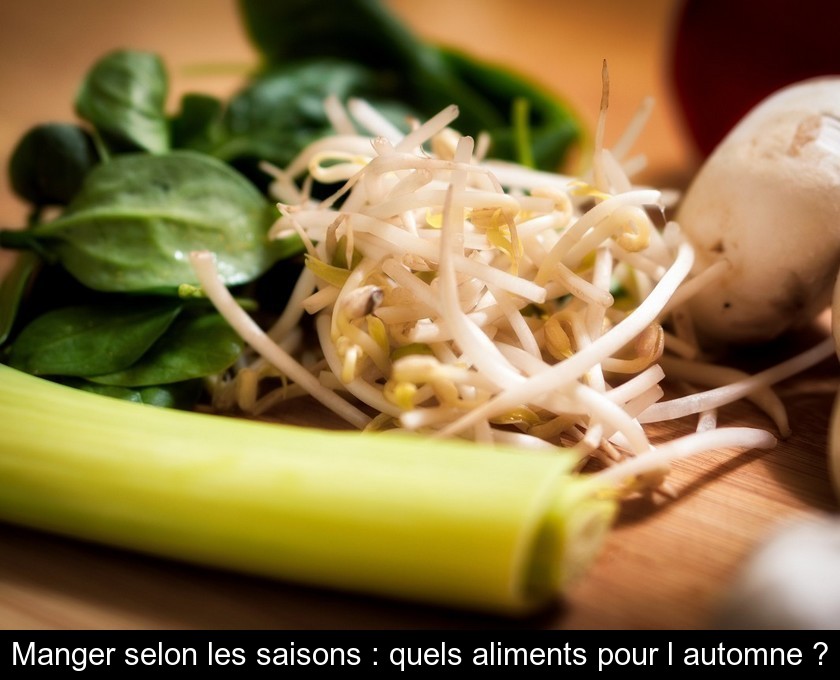 Manger selon les saisons : quels aliments pour l'automne ? Manger selon les saisons : quels aliments pour l'automne ?