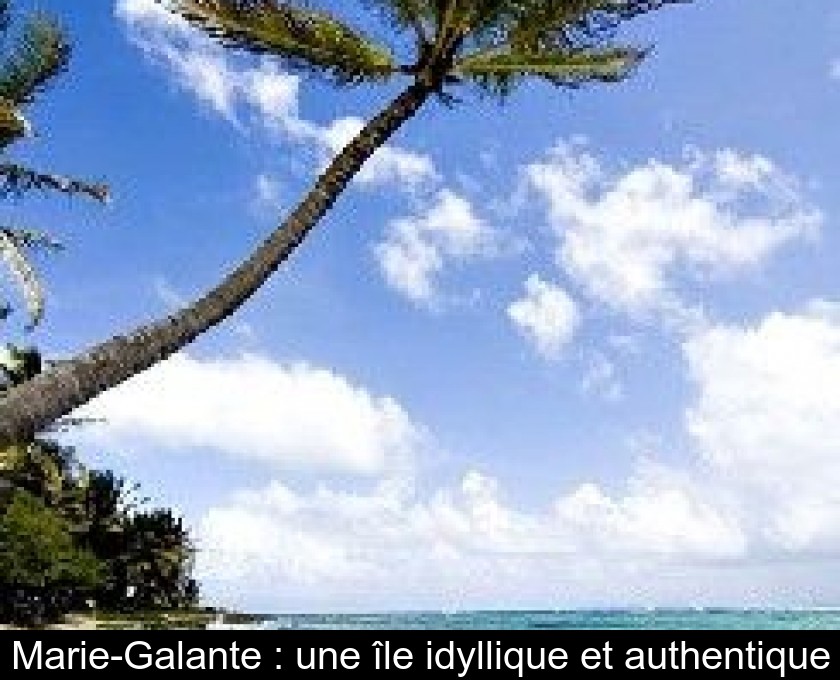 Marie-Galante : une île idyllique et authentique Marie-Galante : une île idyllique et authentique