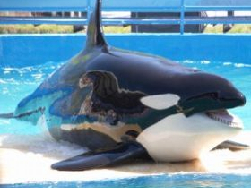 Marineland Marineland