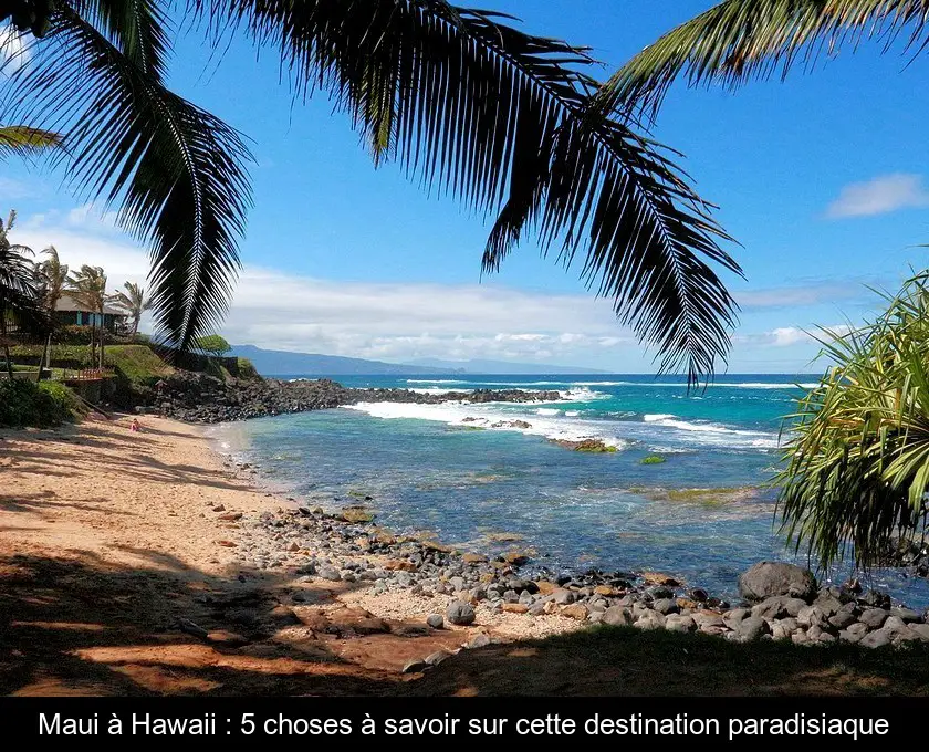 Maui à Hawaii : 5 choses à savoir sur cette destination paradisiaque