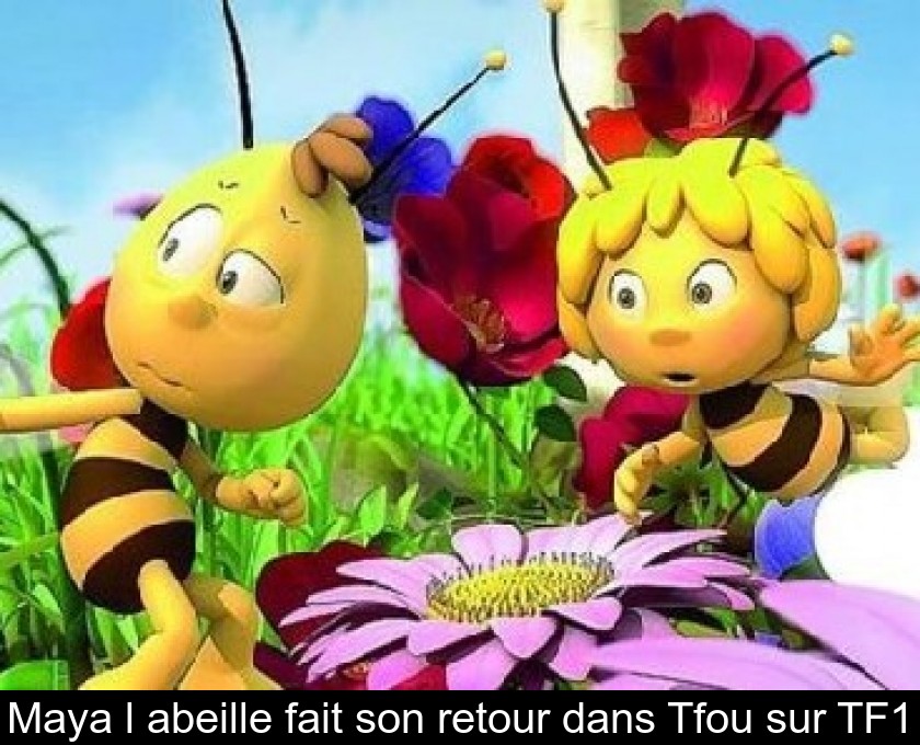 Maya l'abeille fait son retour dans Tfou sur TF1 Maya l'abeille fait son retour dans Tfou sur TF1