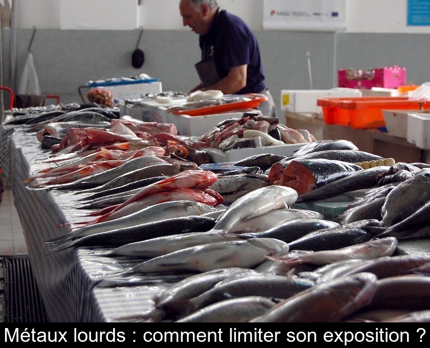 Métaux lourds : comment limiter son exposition ? Métaux lourds : comment limiter son exposition ?