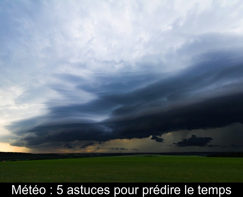 Météo : 5 astuces pour prédire le temps