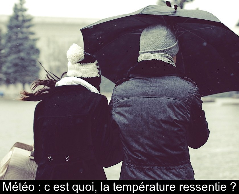 Météo : c'est quoi, la température ressentie ?