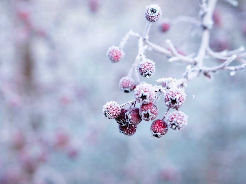 Météo : qu'est-ce que l'hiver ? Météo : qu'est-ce que l'hiver ?