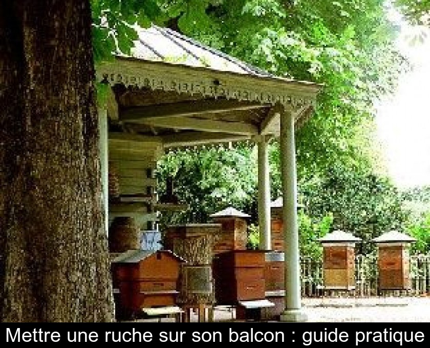 Mettre une ruche sur son balcon : guide pratique Mettre une ruche sur son balcon : guide pratique