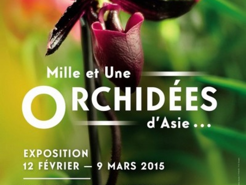 Mille et une orchidées : une exposition au Jardin des plantes Mille et une orchidées : une exposition au Jardin des plantes