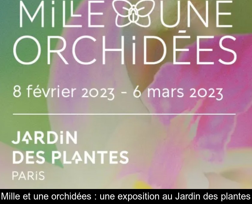 Mille et une orchidées : une exposition au Jardin des plantes