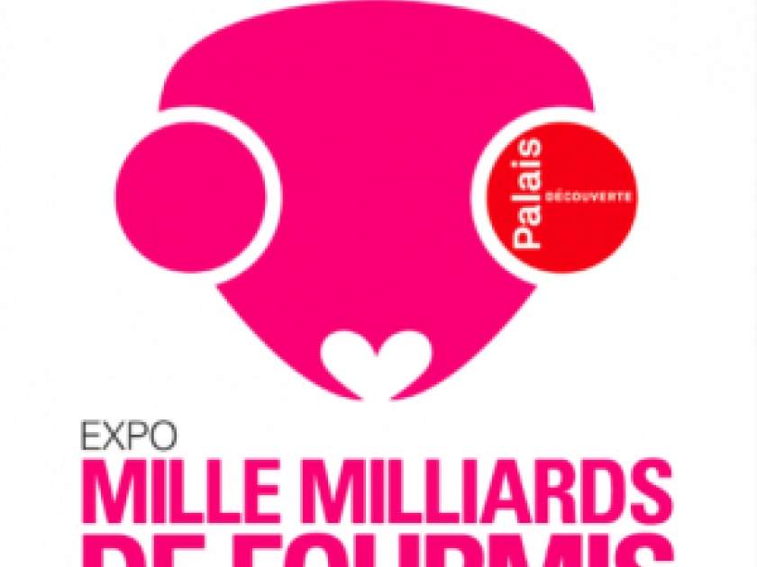 Mille milliards de fourmis : une exposition au Palais de la découverte Mille milliards de fourmis : une exposition au Palais de la découverte