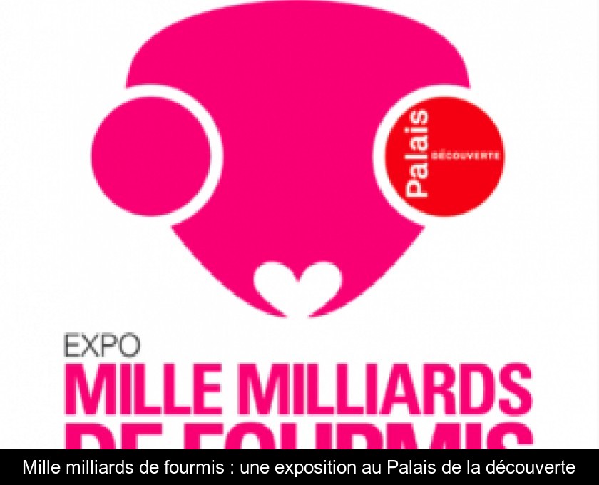 Mille milliards de fourmis : une exposition au Palais de la découverte