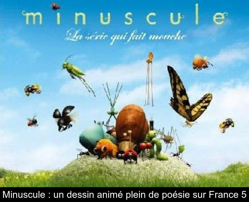 Minuscule Un Dessin Anime Plein De Poesie Sur France 5