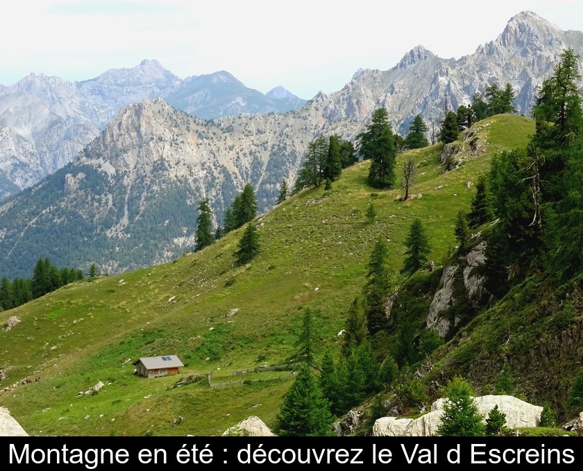 Montagne en été : découvrez le Val d'Escreins Montagne en été : découvrez le Val d'Escreins