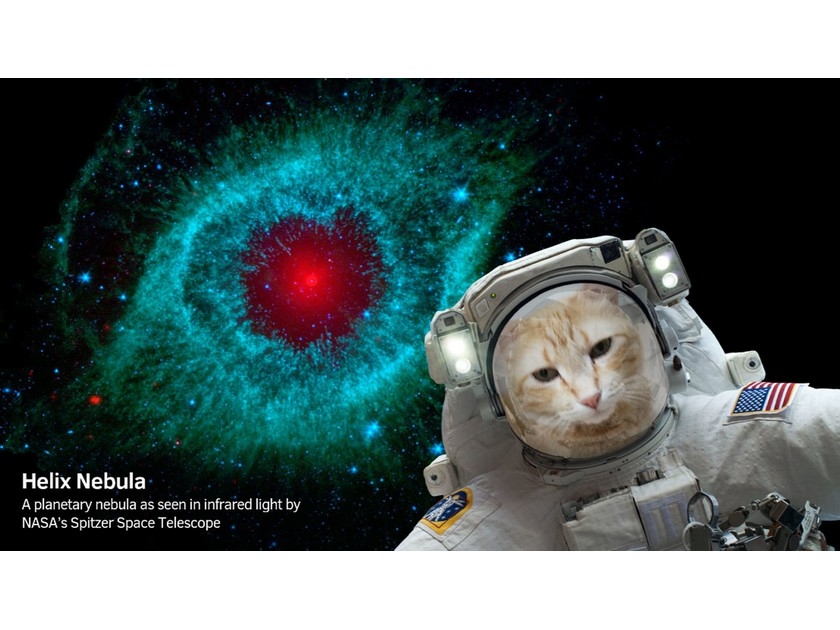 NASA Selfies : une appli pour prendre des selfies dans l'espace NASA Selfies : une appli pour prendre des selfies dans l'espace