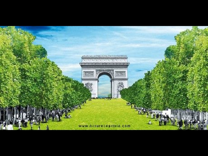 Nature Capitale : les Champs-Elysées se mettent au vert Nature Capitale : les Champs-Elysées se mettent au vert