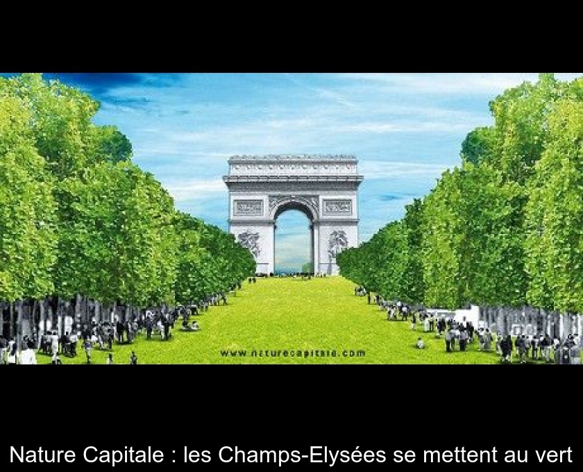 Nature Capitale : les Champs-Elysées se mettent au vert Nature Capitale : les Champs-Elysées se mettent au vert