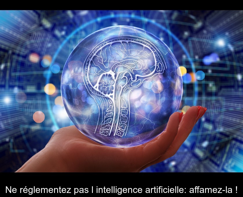Ne réglementez pas l'intelligence artificielle: affamez-la ! Ne réglementez pas l'intelligence artificielle: affamez-la !