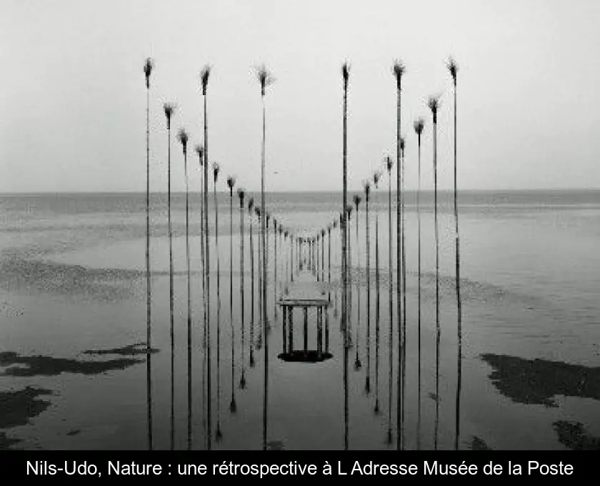 Nils-Udo, Nature : une rétrospective à L'Adresse Musée de la Poste