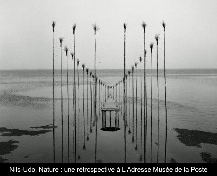 Nils-Udo, Nature : une rétrospective à L'Adresse Musée de la Poste Nils-Udo, Nature : une rétrospective à L'Adresse Musée de la Poste
