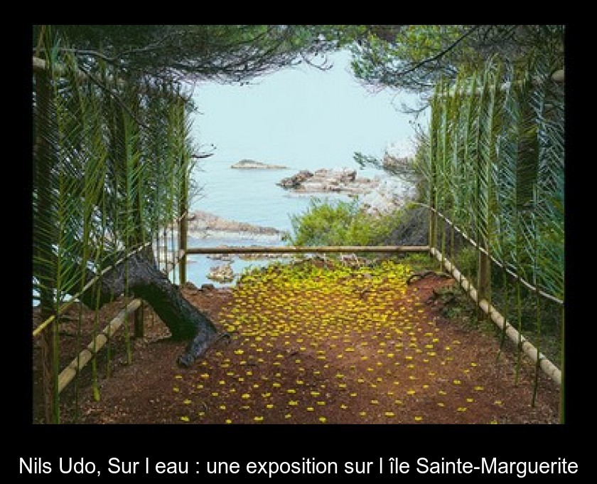 Nils Udo, Sur l'eau : une exposition sur l'île Sainte-Marguerite Nils Udo, Sur l'eau : une exposition sur l'île Sainte-Marguerite