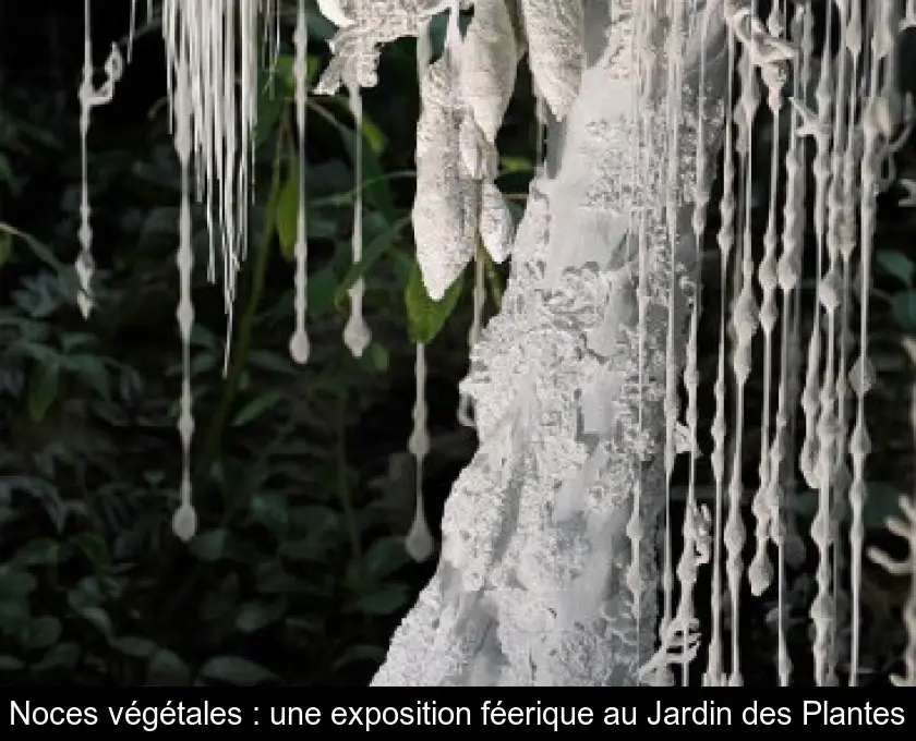 Noces végétales : une exposition féerique au Jardin des Plantes
