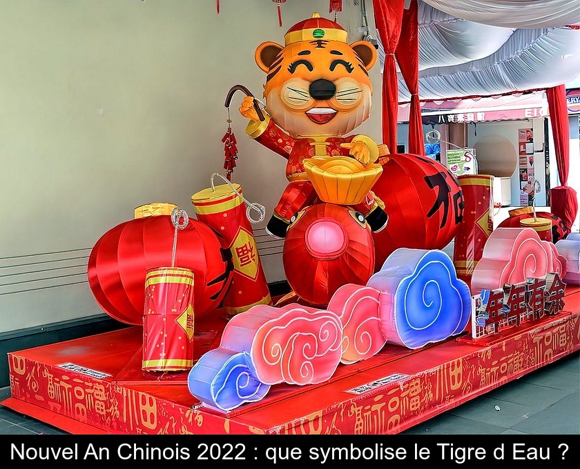 Nouvel An Chinois 2022 : que symbolise le Tigre d'Eau ?