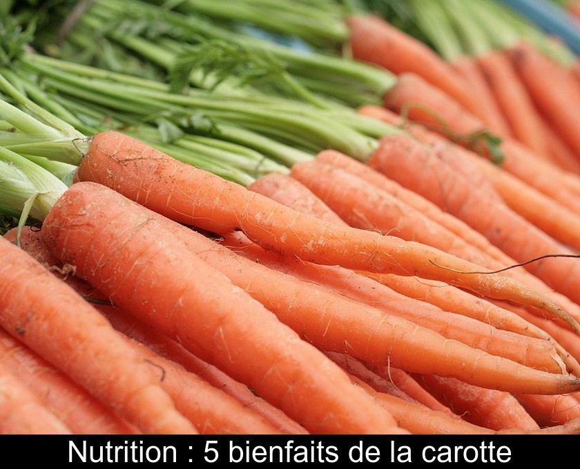 Nutrition : 5 bienfaits de la carotte Nutrition : 5 bienfaits de la carotte
