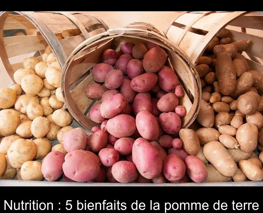 Nutrition : 5 bienfaits de la pomme de terre