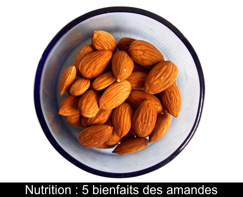 Nutrition : 5 bienfaits des amandes